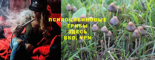 крисы Зерноград