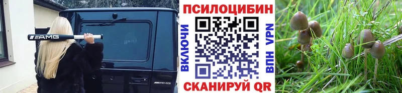 Галлюциногенные грибы ЛСД  Кузнецк 