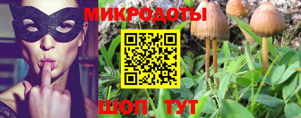 Кузнецк  Галлюциногенные грибы ЛСД  Галлюциногенные грибы мухоморы  купить наркотики сайты  Вход с VPN 