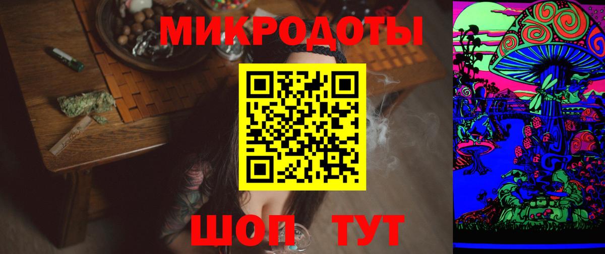 Галлюциногенные грибы Psilocybe Кузнецк